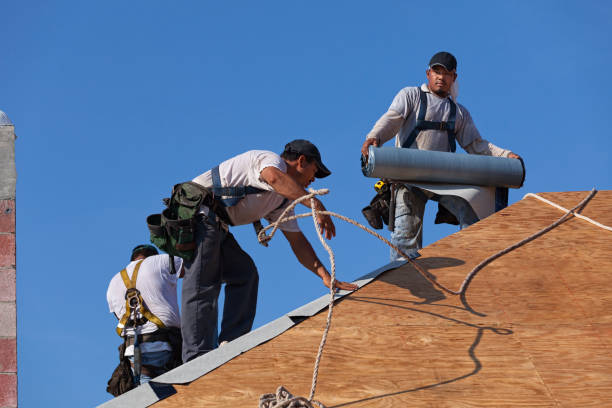 Best Affordable Roofing Company  in Riverview, MI