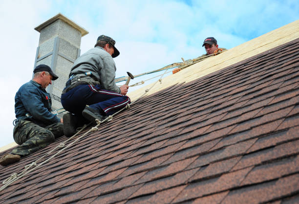 Best Metal Roofing Contractor  in Riverview, MI